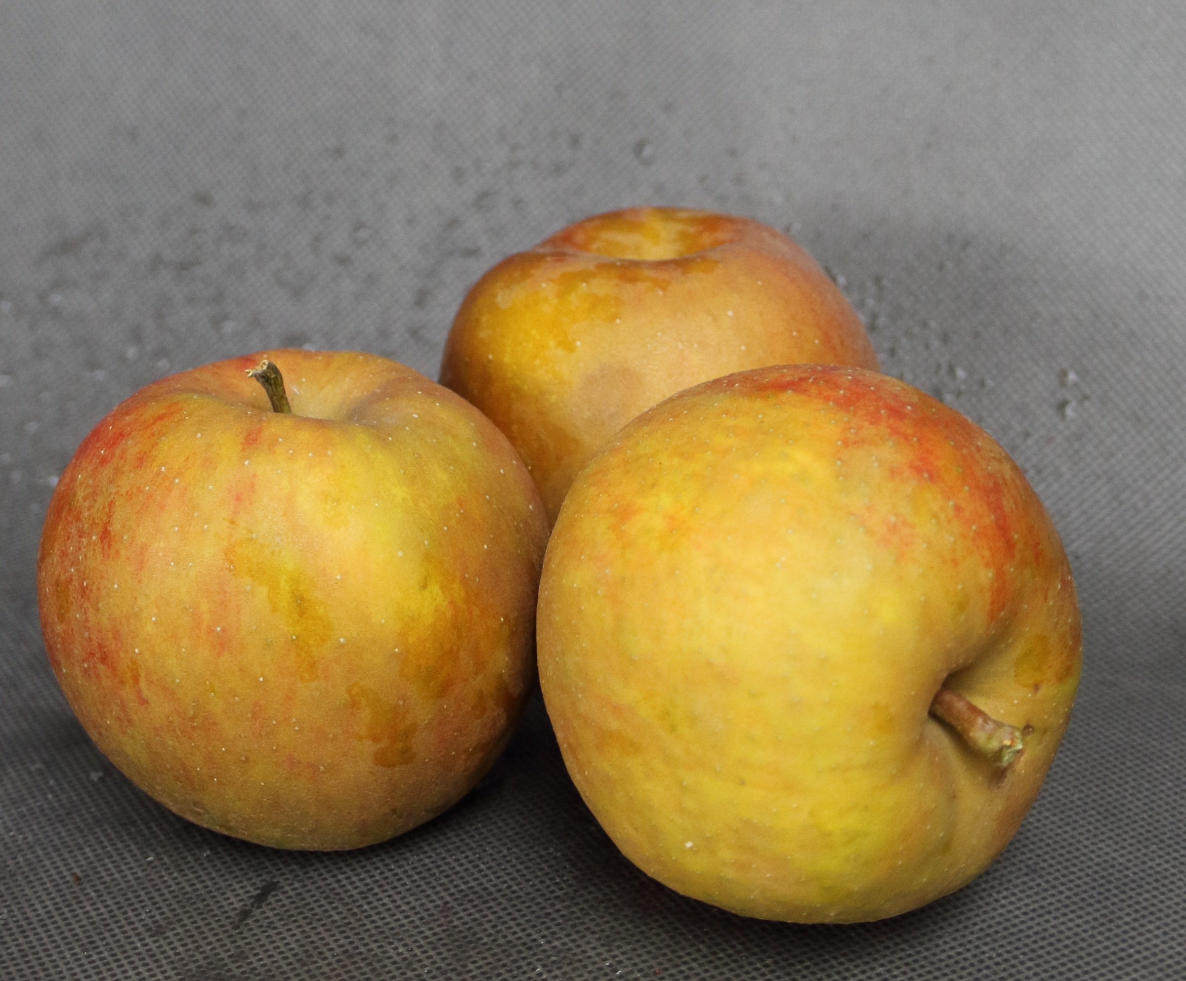 a96c01e47e56febfd98e9523f867408e