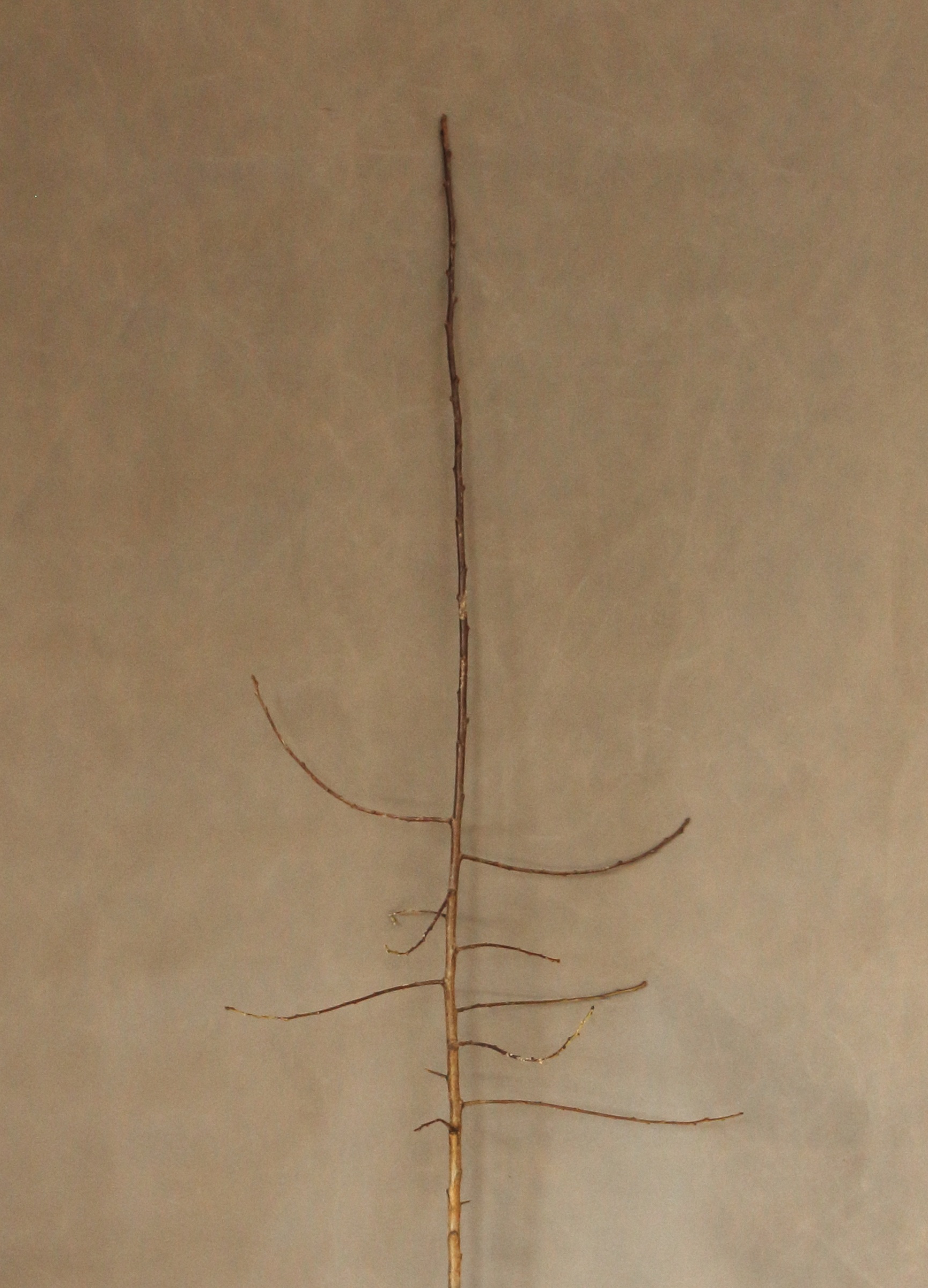 4dc0371b65327861945fa9f989e2b0f5