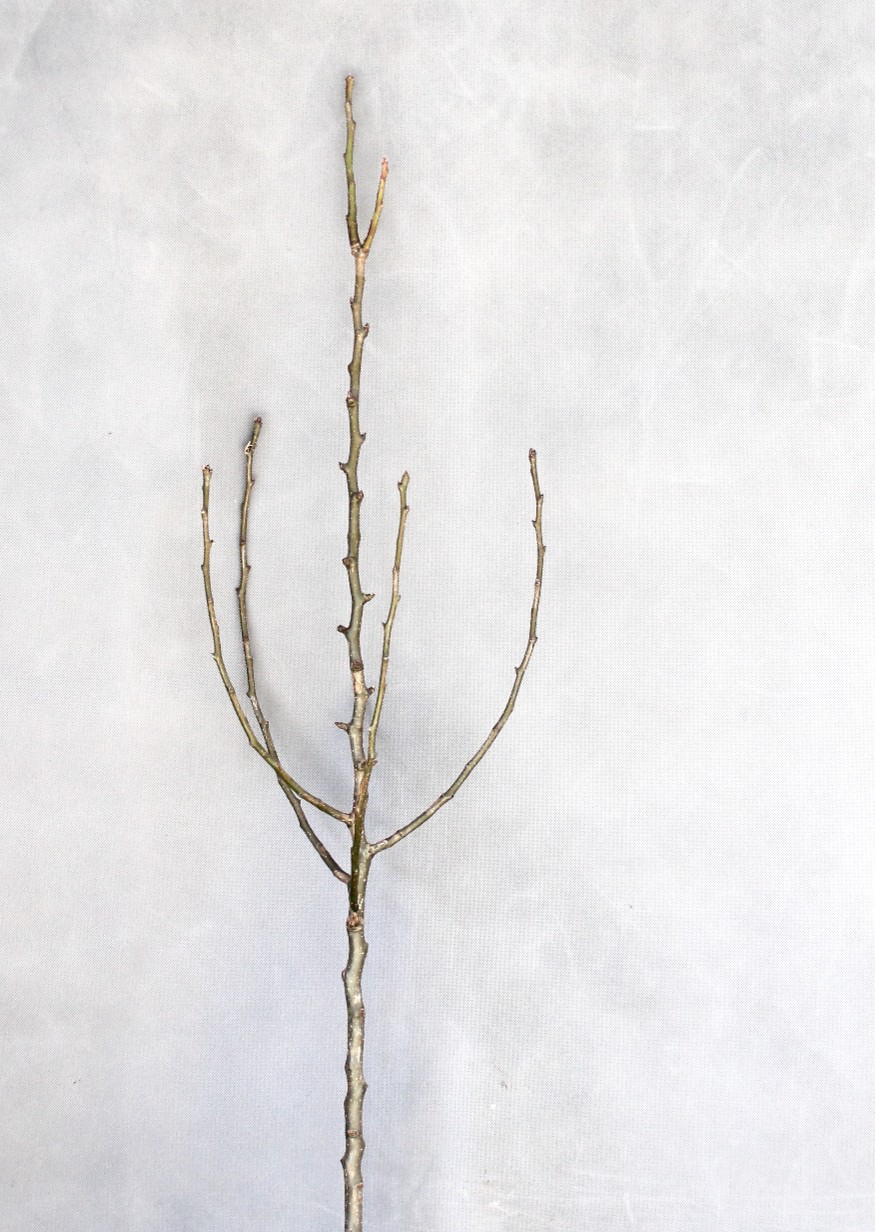 5012f84f9fc7a1ea627a4e0833ad7386