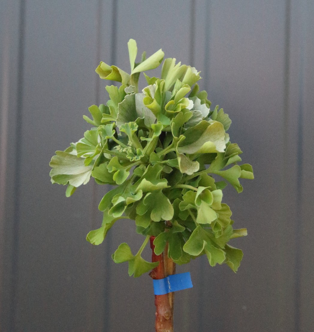 b4809889f4f39b91ccbc01c1f6a01040