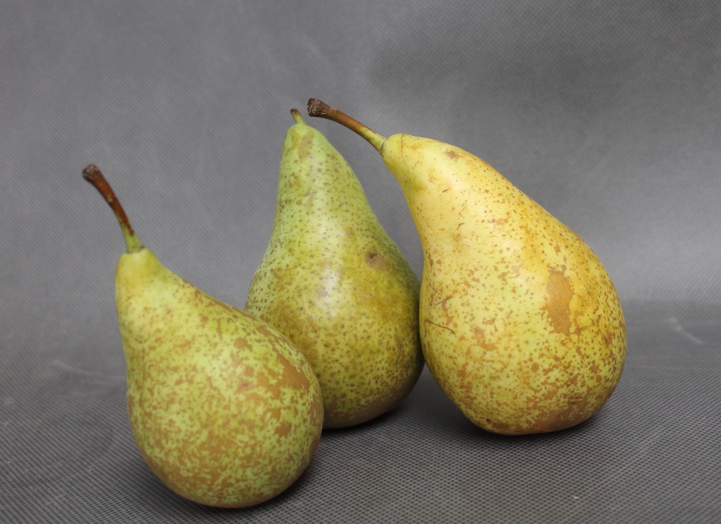 485985dd1429b4cb574681c4421c95ed