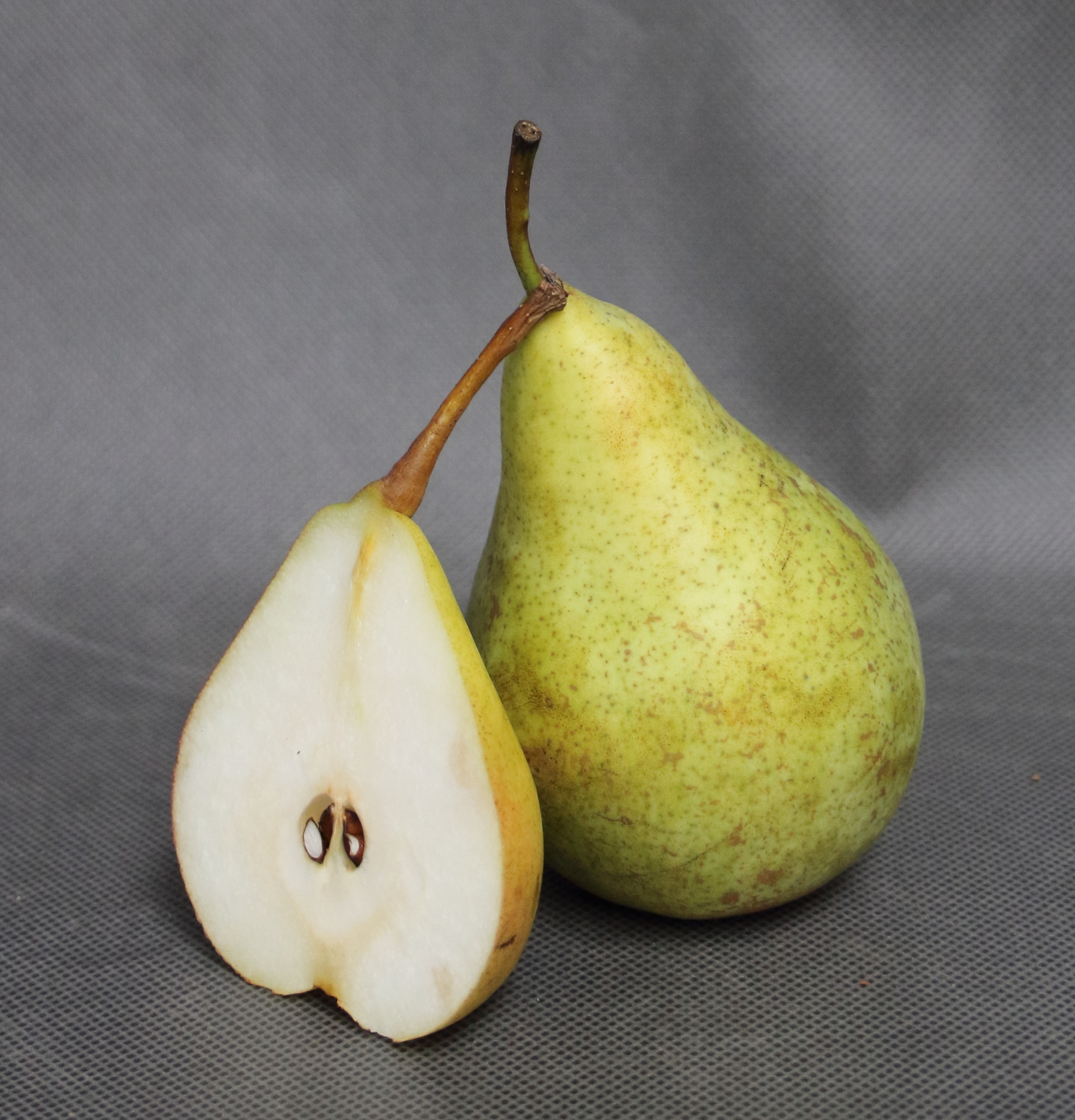 9c34641b268cbb9c6a57829b96f804d9