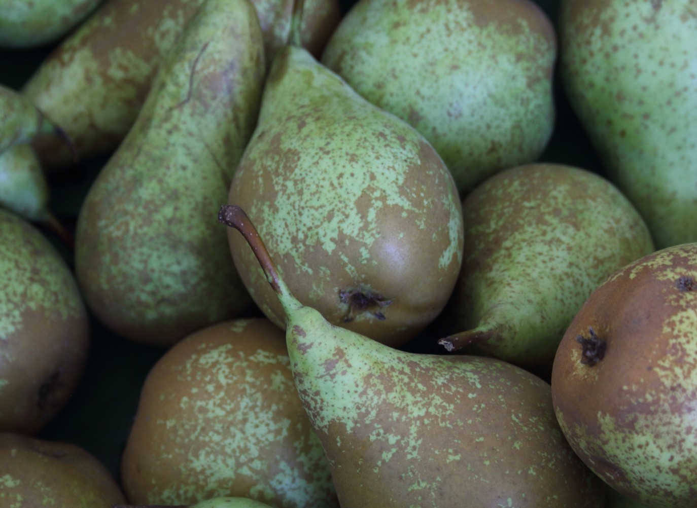 7922c6ebc9a68efd76e1e2d0e2b89e19