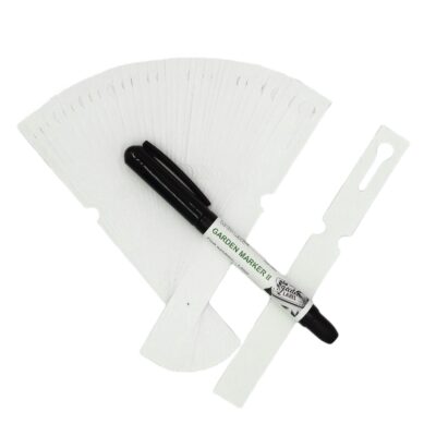 61ae3904a8d34b38c829657b71b88e54