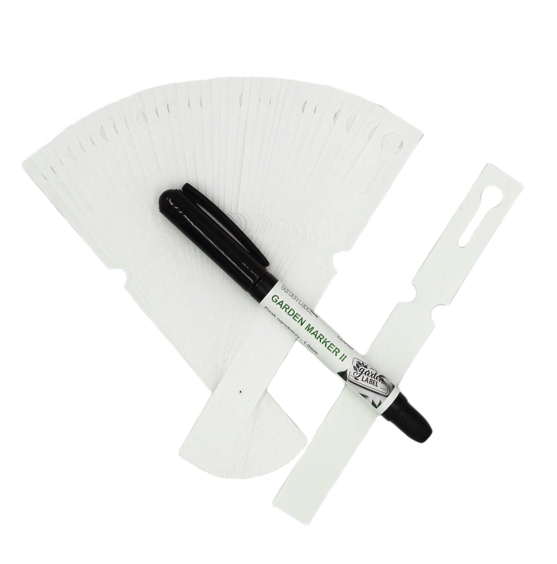 61ae3904a8d34b38c829657b71b88e54