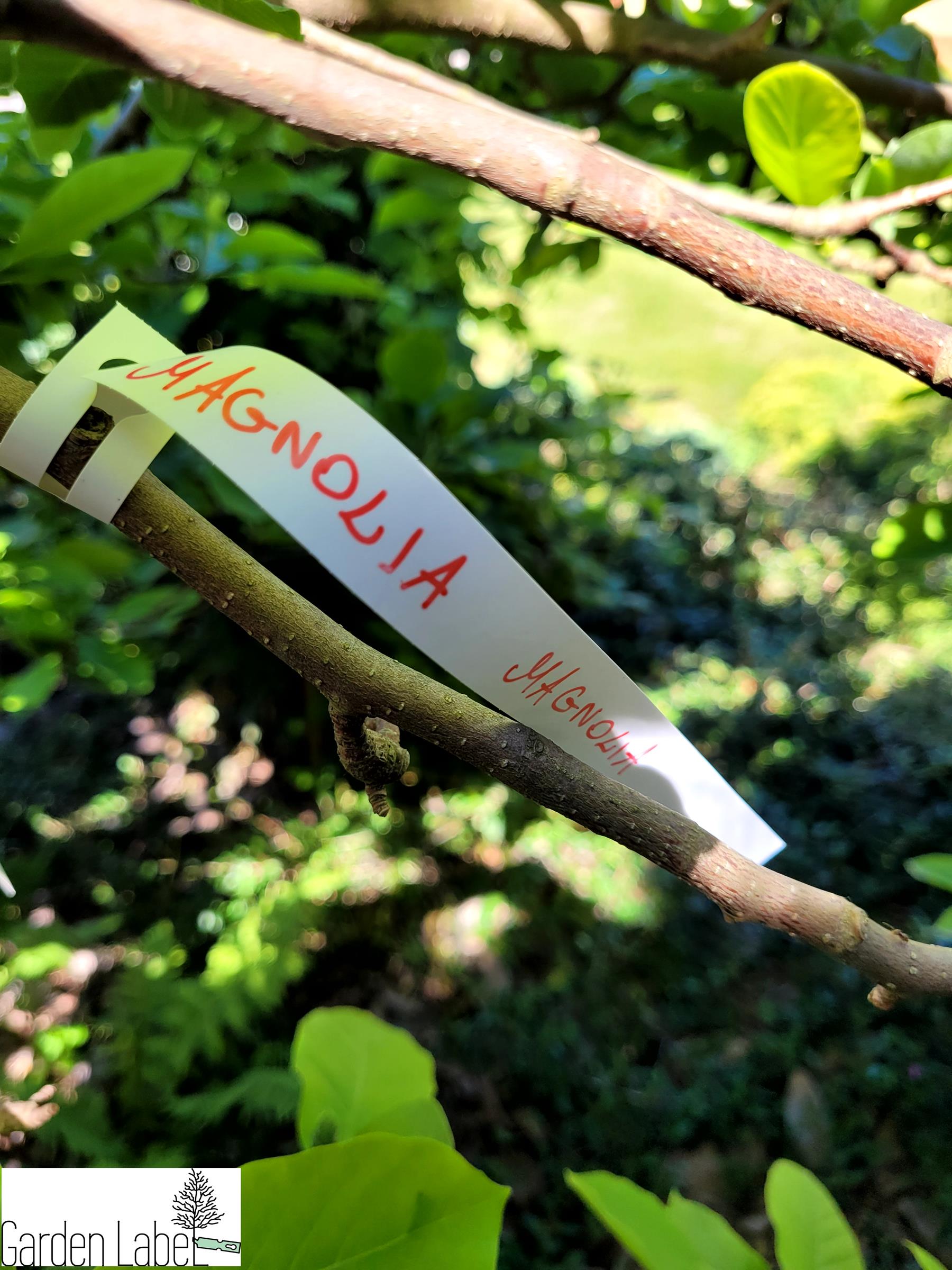 83a4c3caa912646e8bdbc866dca45806