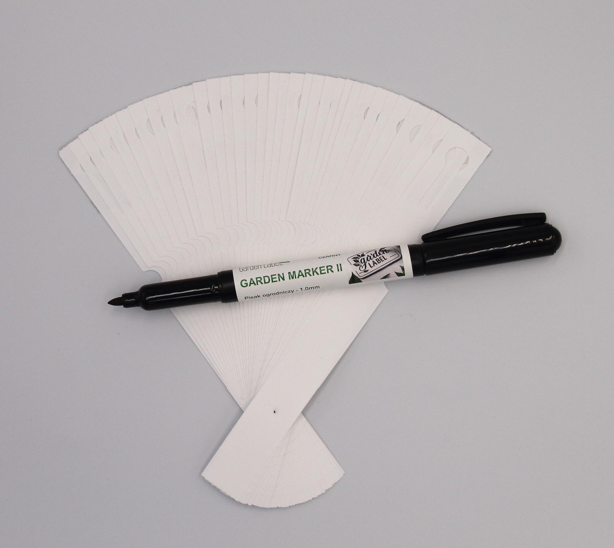 8e4c96ac1eac82291555ded20a389569