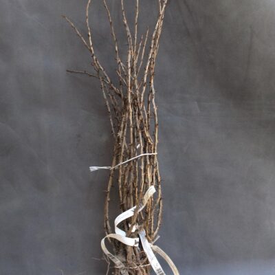 3e5c508c29fadb8059efb401ec8dd589