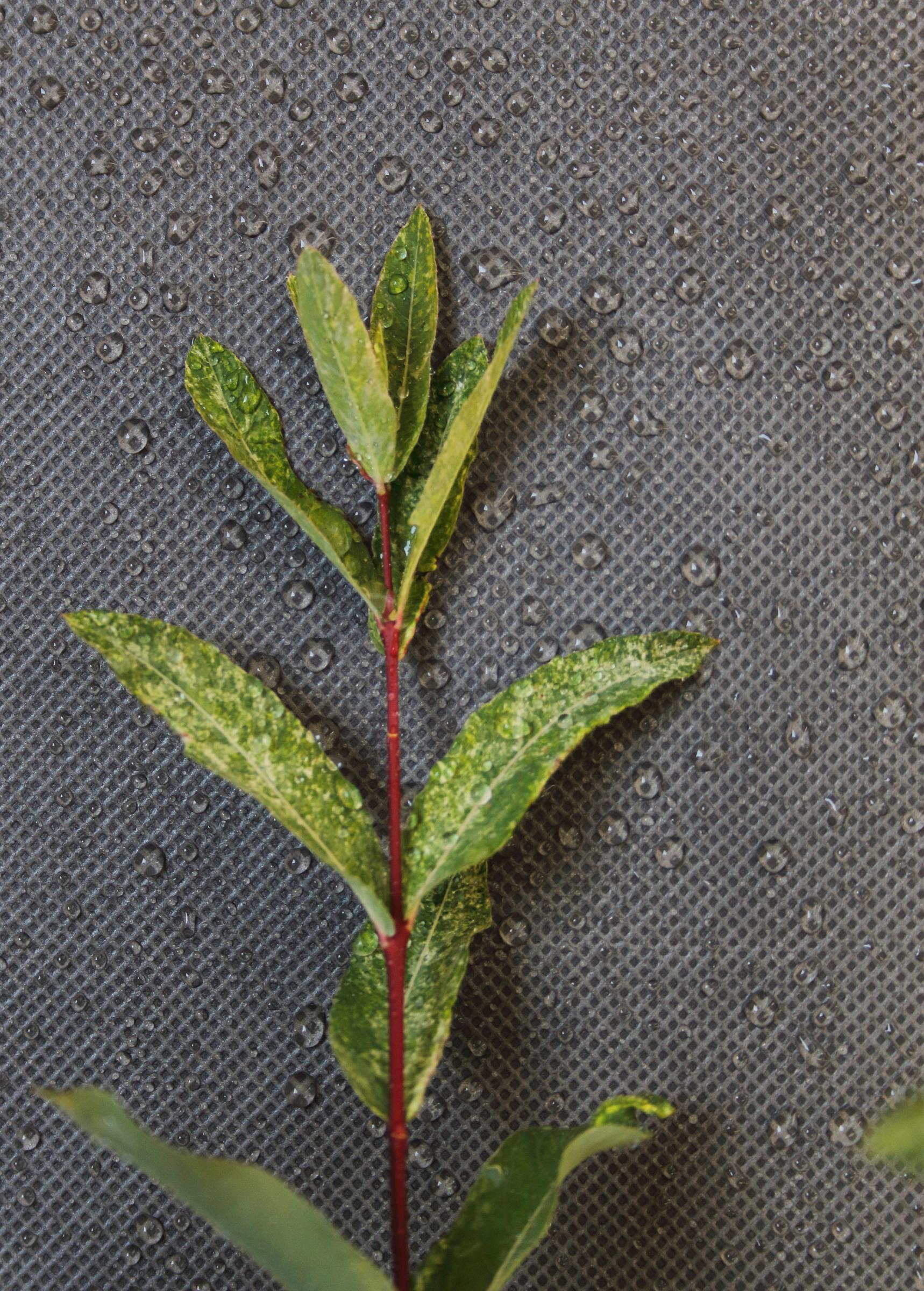 ba71e428ce5618e6df01e12d99477d31