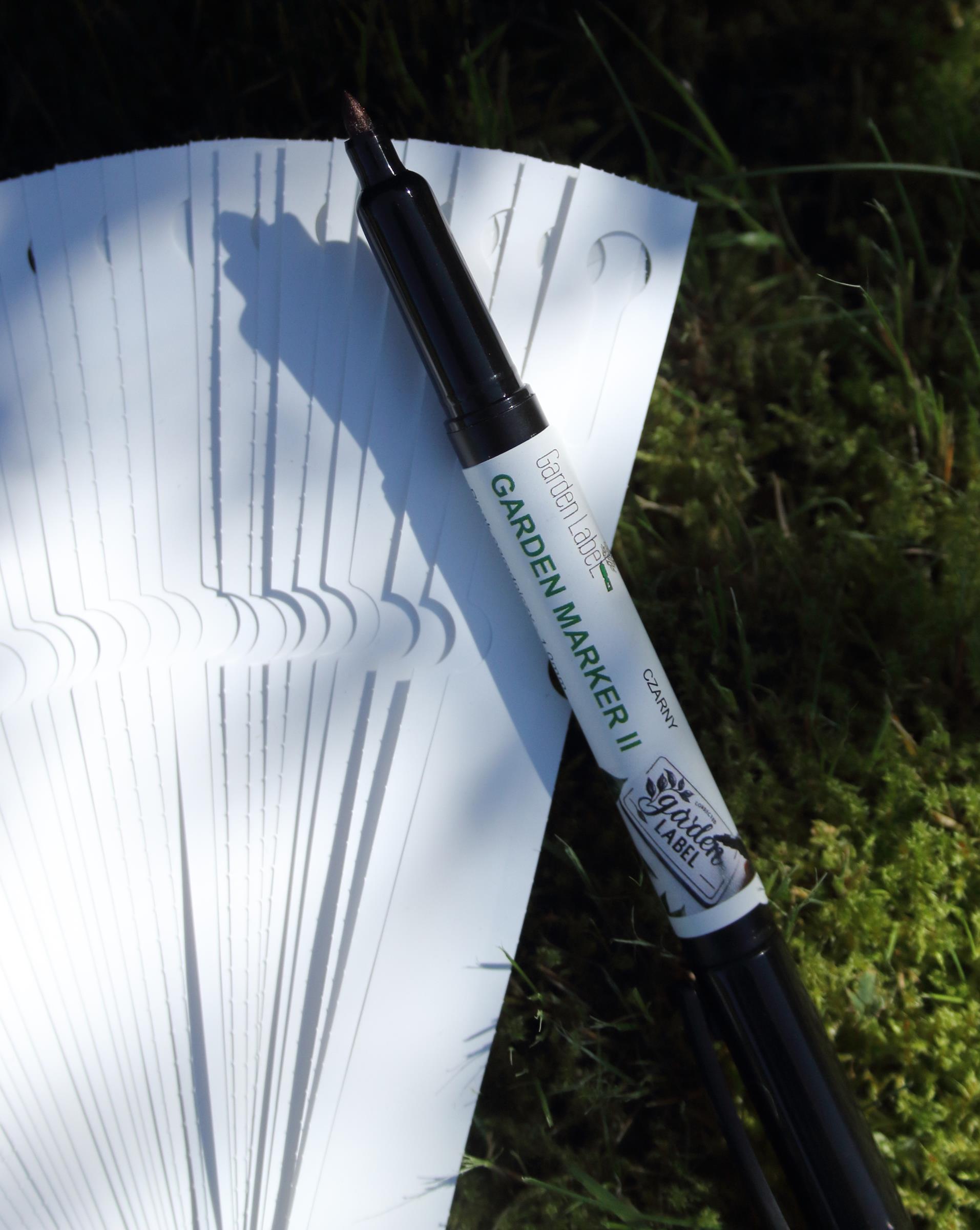 48f3b8a366d0fd5a4e4599517364a735