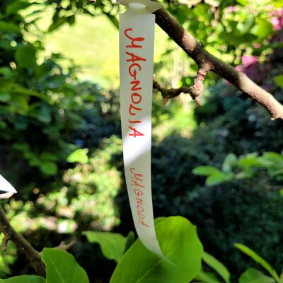 4296e071241499bb93c43f0f41358985