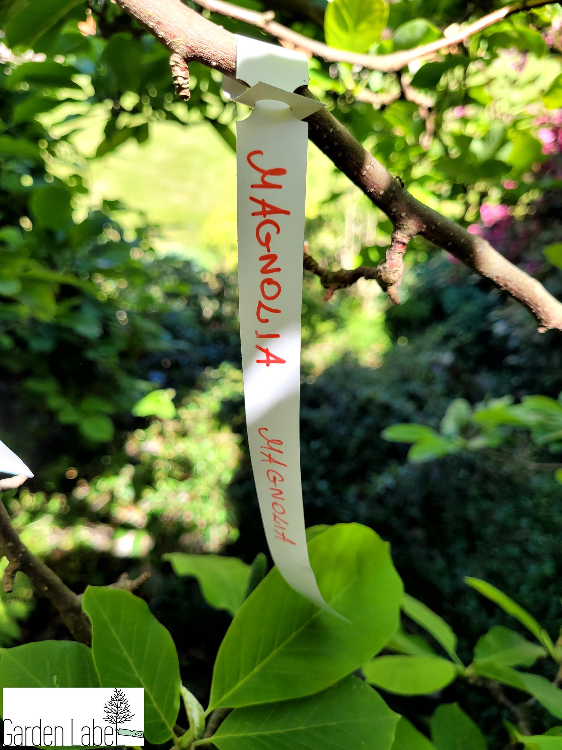 4296e071241499bb93c43f0f41358985