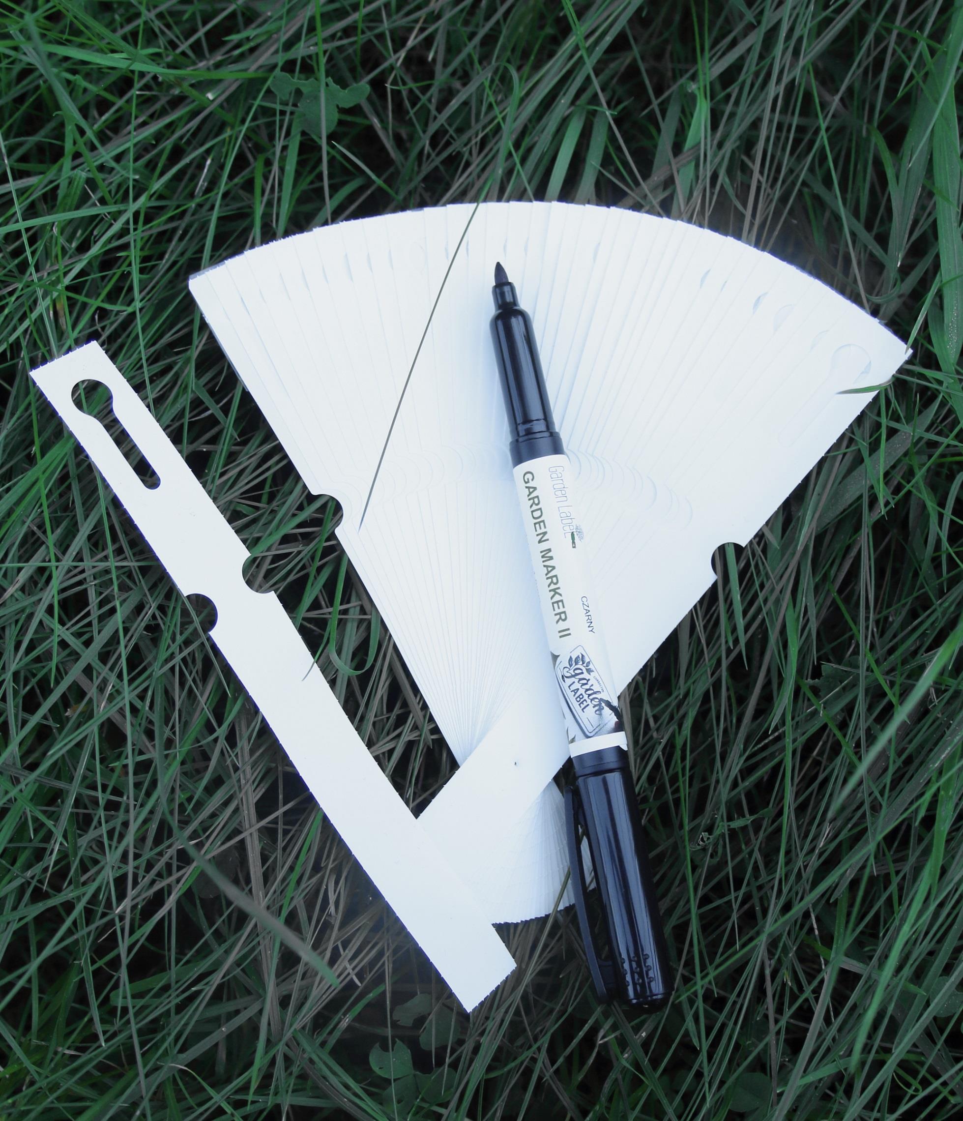 188123299766eeee64fab4cd5a789007