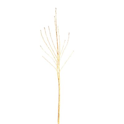 b01dee0d58955643bf3bf81ce424addb