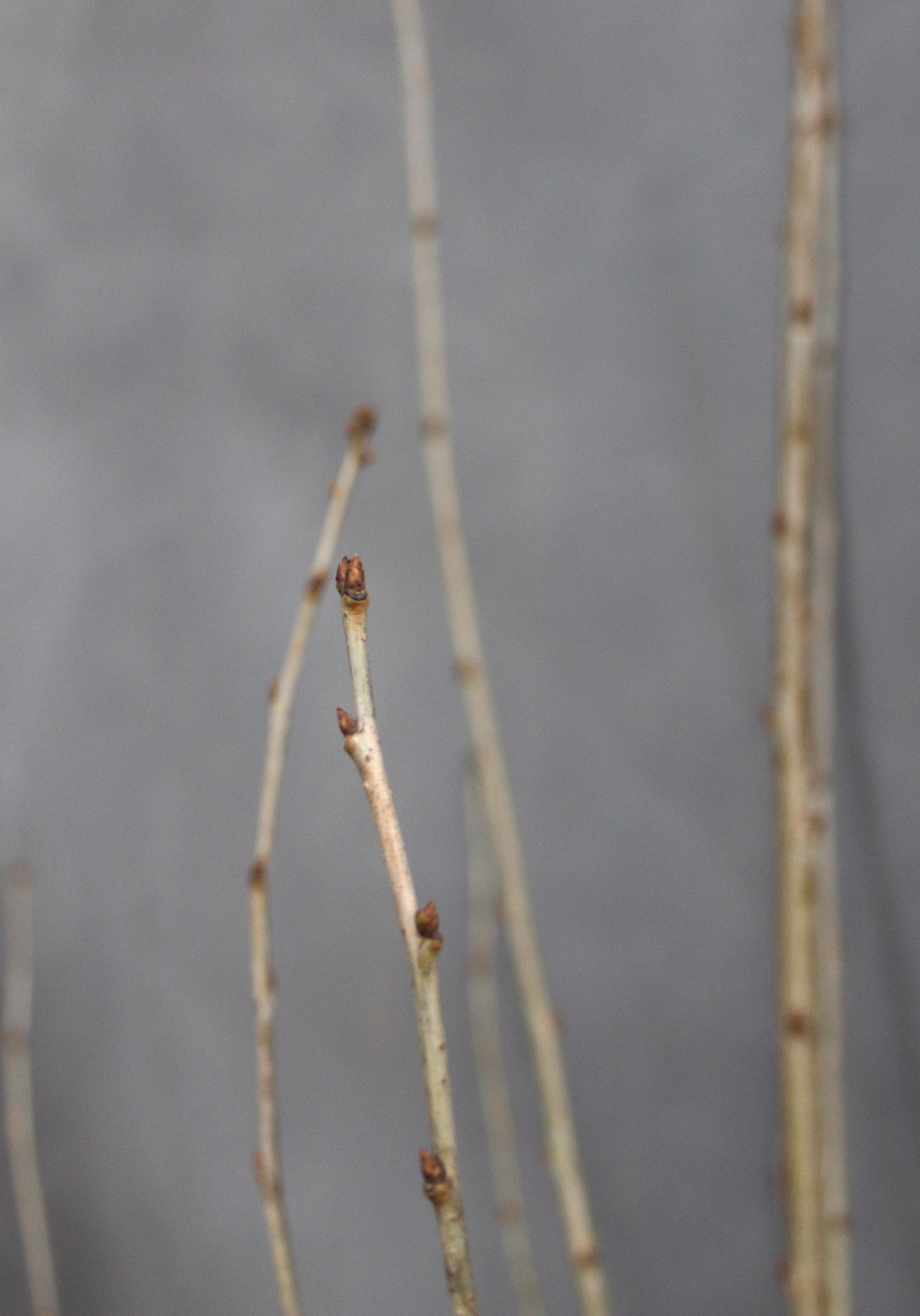 a68937111e371af006e97885a2300313