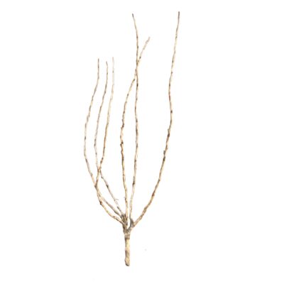 1159afd5a7d90321151594ecca86e4a0