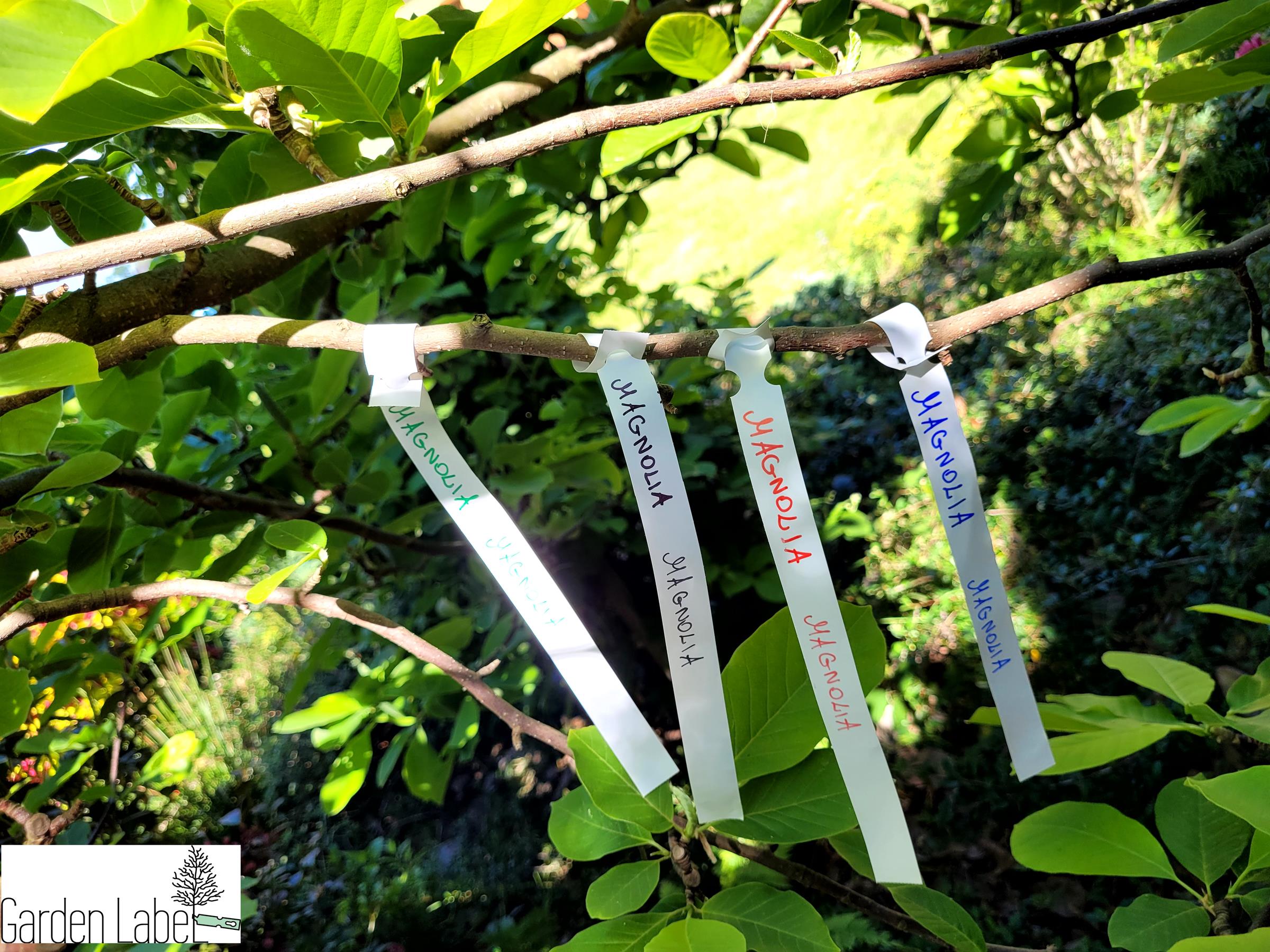 6bd86d03b01a2d5b0e0a0896e724978b