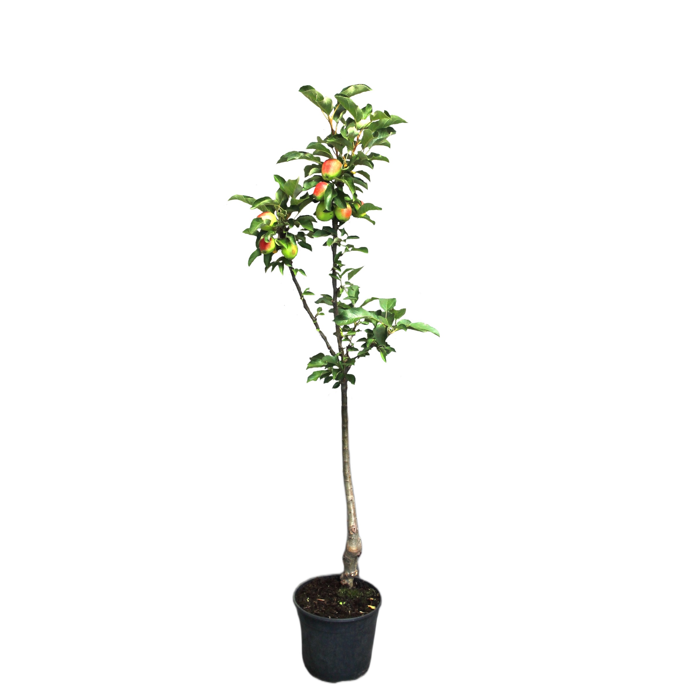 c665b1a846f0255af56bcff6f5f11e22