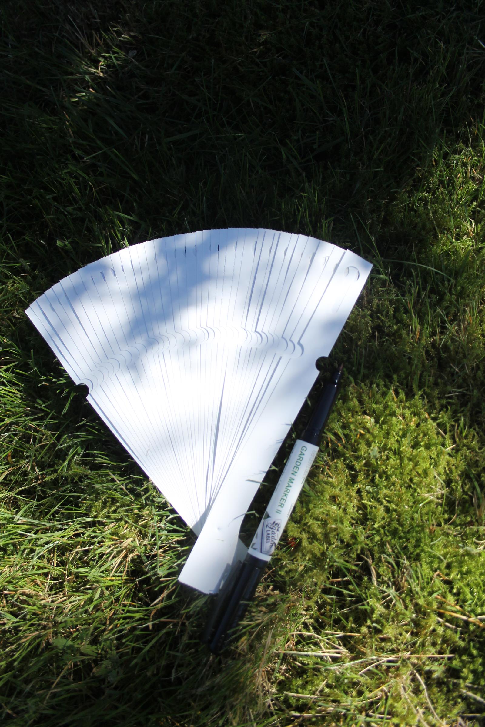 c3e6fa77a1ef68c79f9ae685eabeb8ea