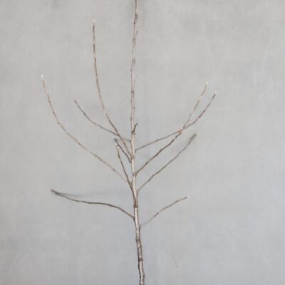 fad2b2d73d9c6cfb74dea99723ef59a9