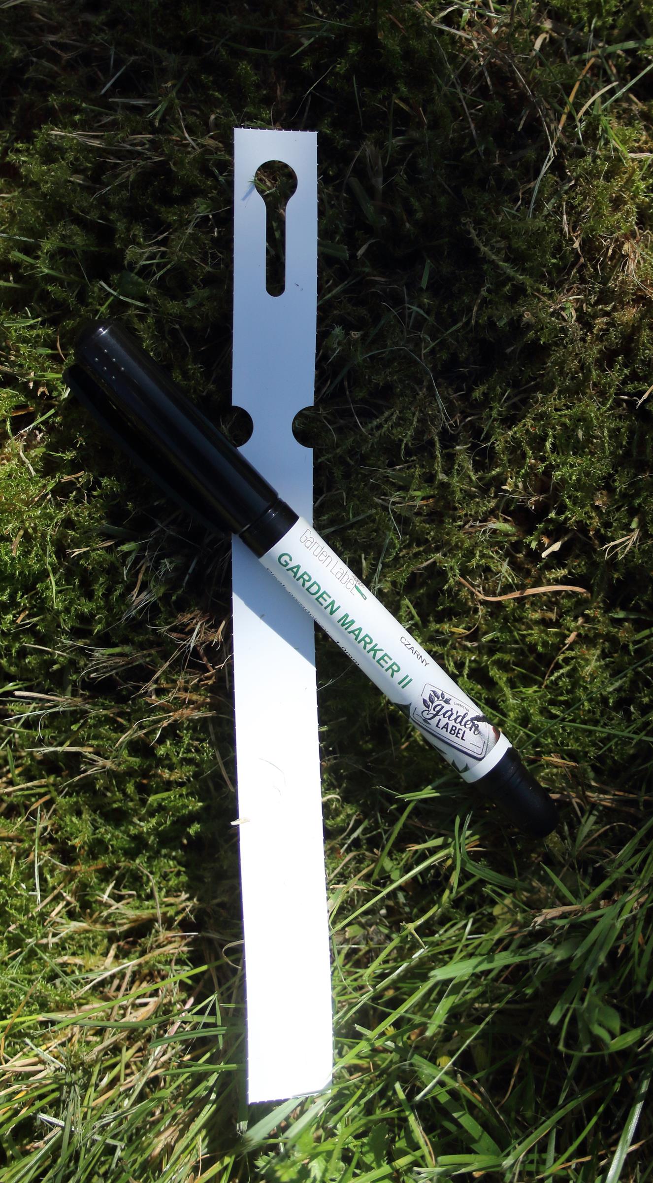 a8929feb5e8aee60c78a7fe8279e1a37