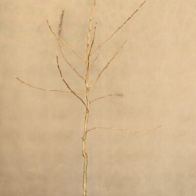 f034a2f6562330a832c1f2c86779dec4