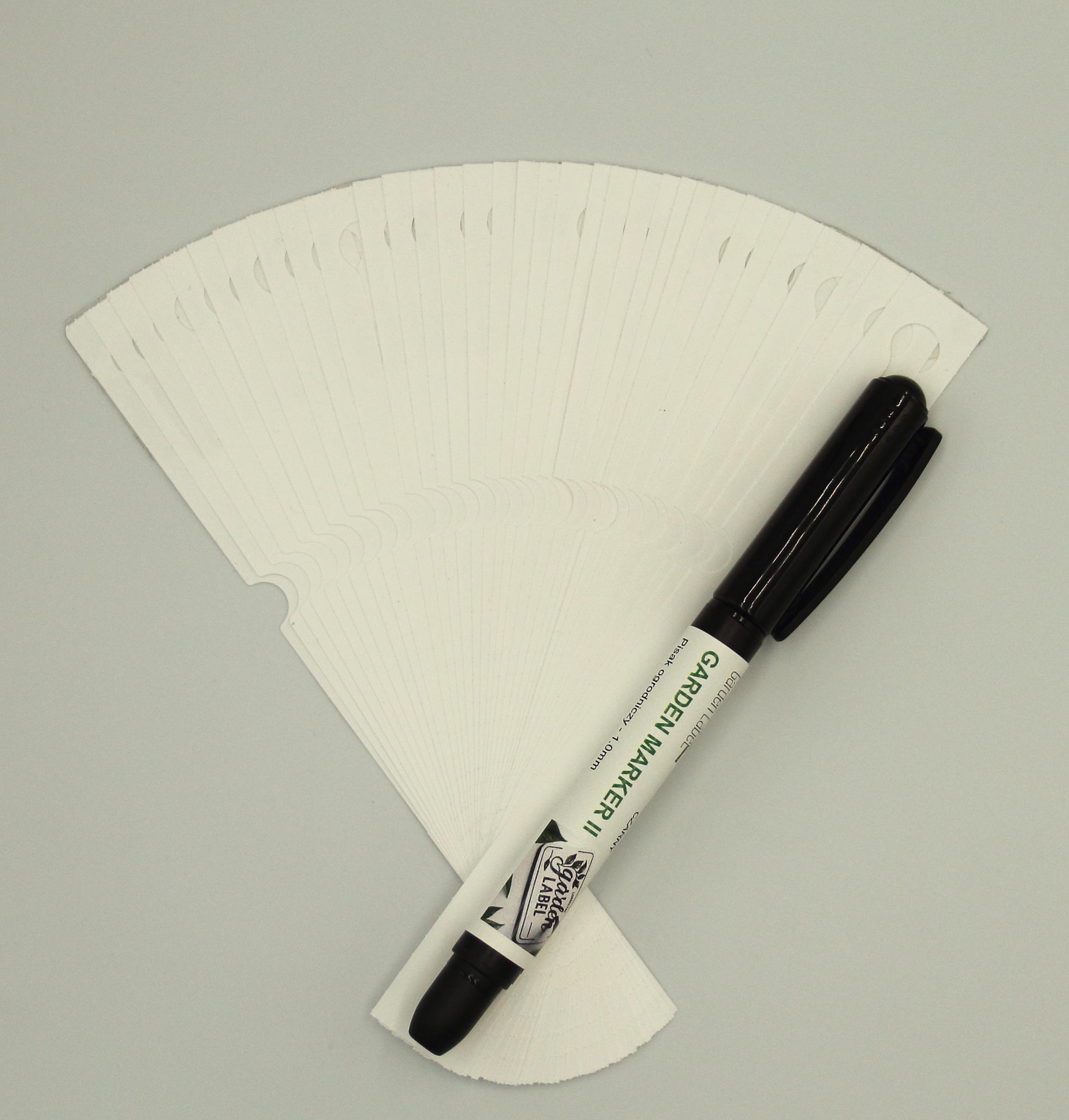 fdd8aee84f2d7565f42a9225a491943a