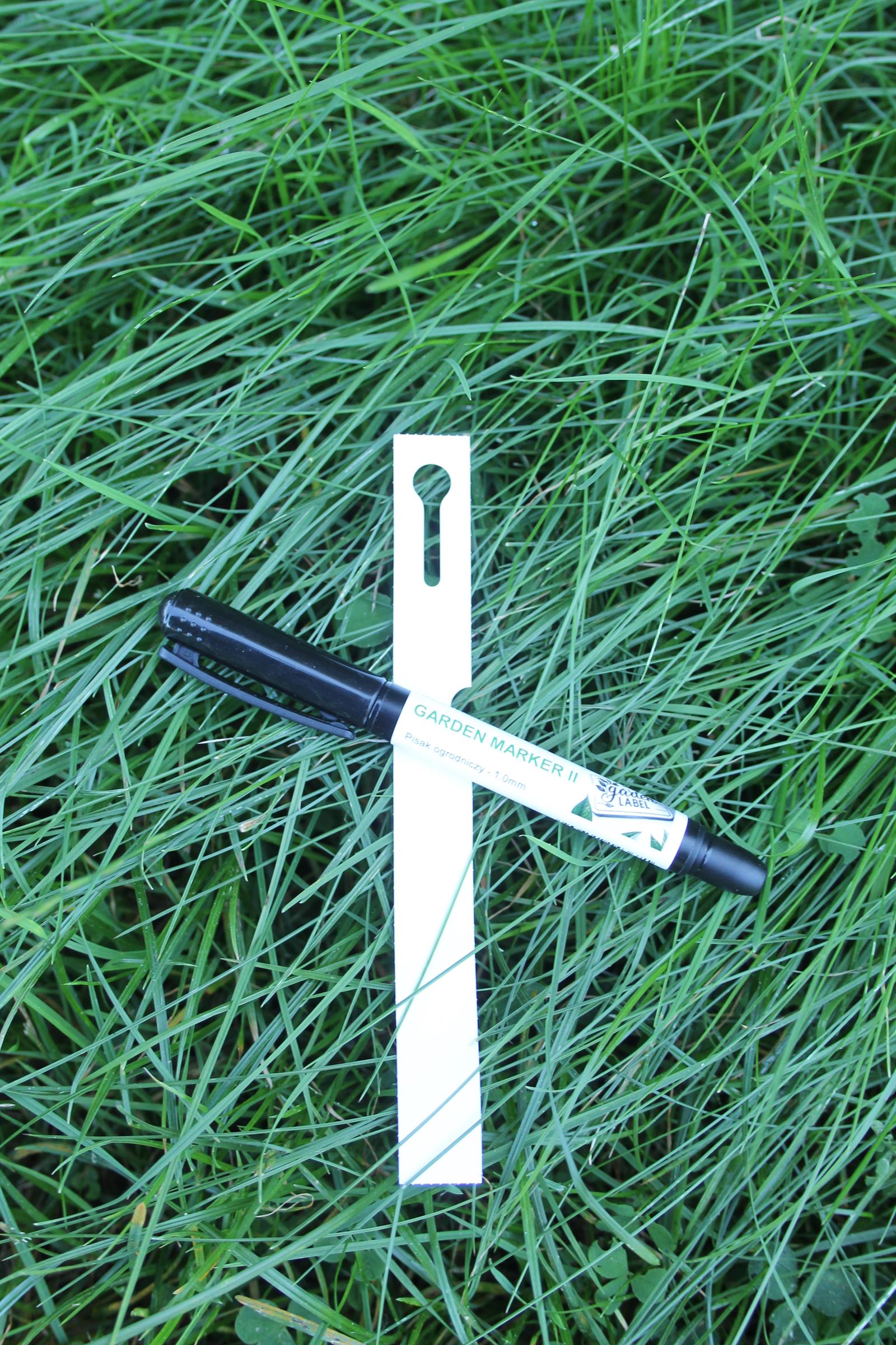 76dd85fa5a7b36dfad5a550162872eaf