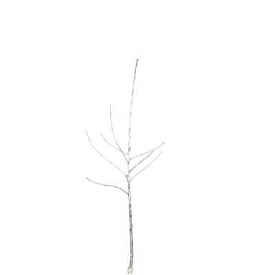 2d7776da19afd4bc2721bef4245df716