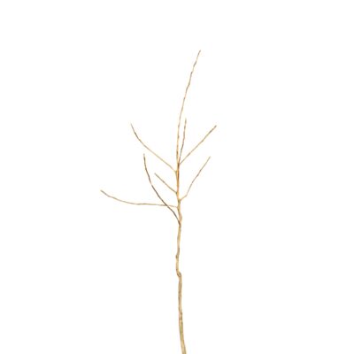 57125fcf975449170586cea010df84ef