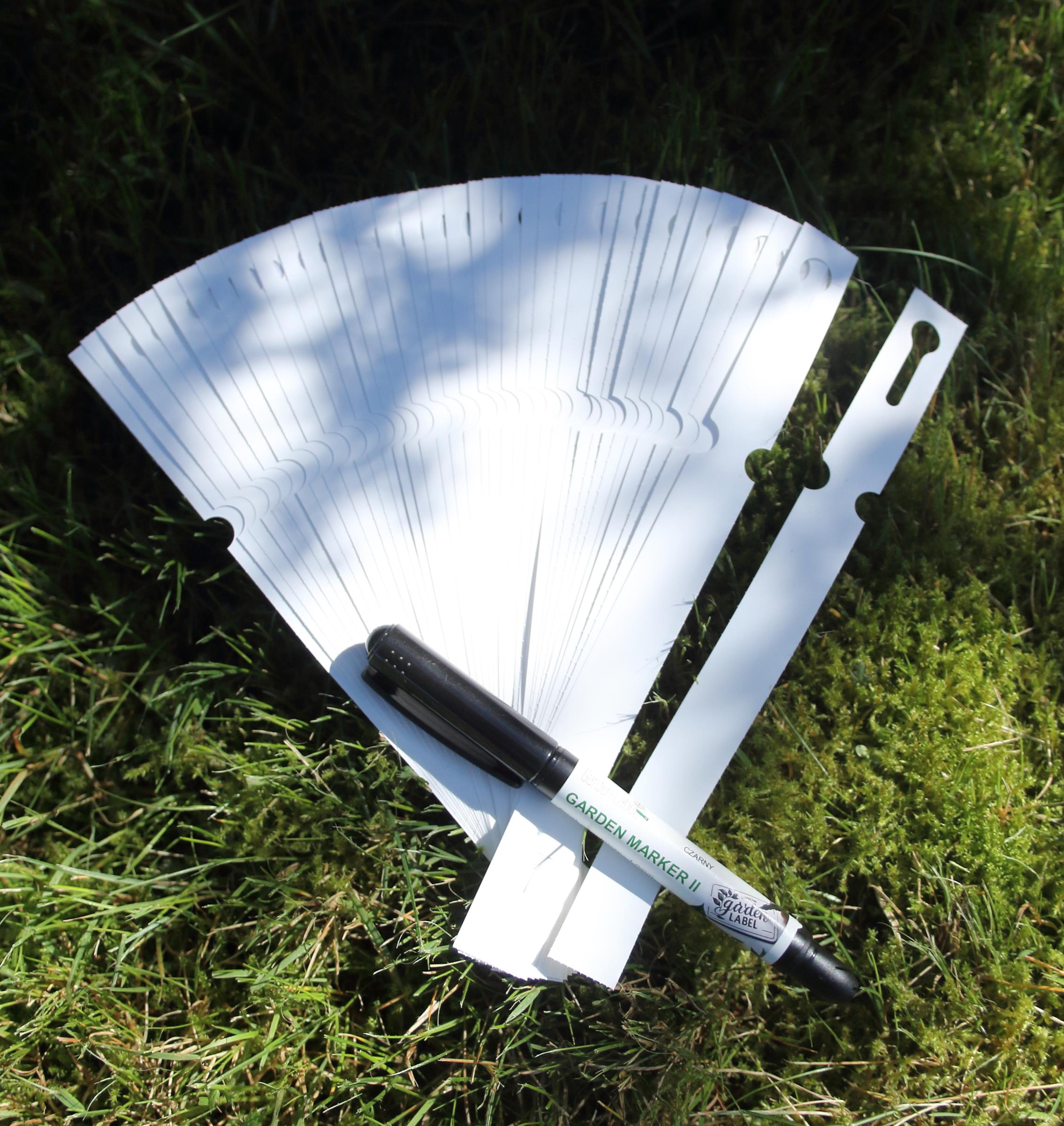 e9396add7ca9641a29379e387242bdd6