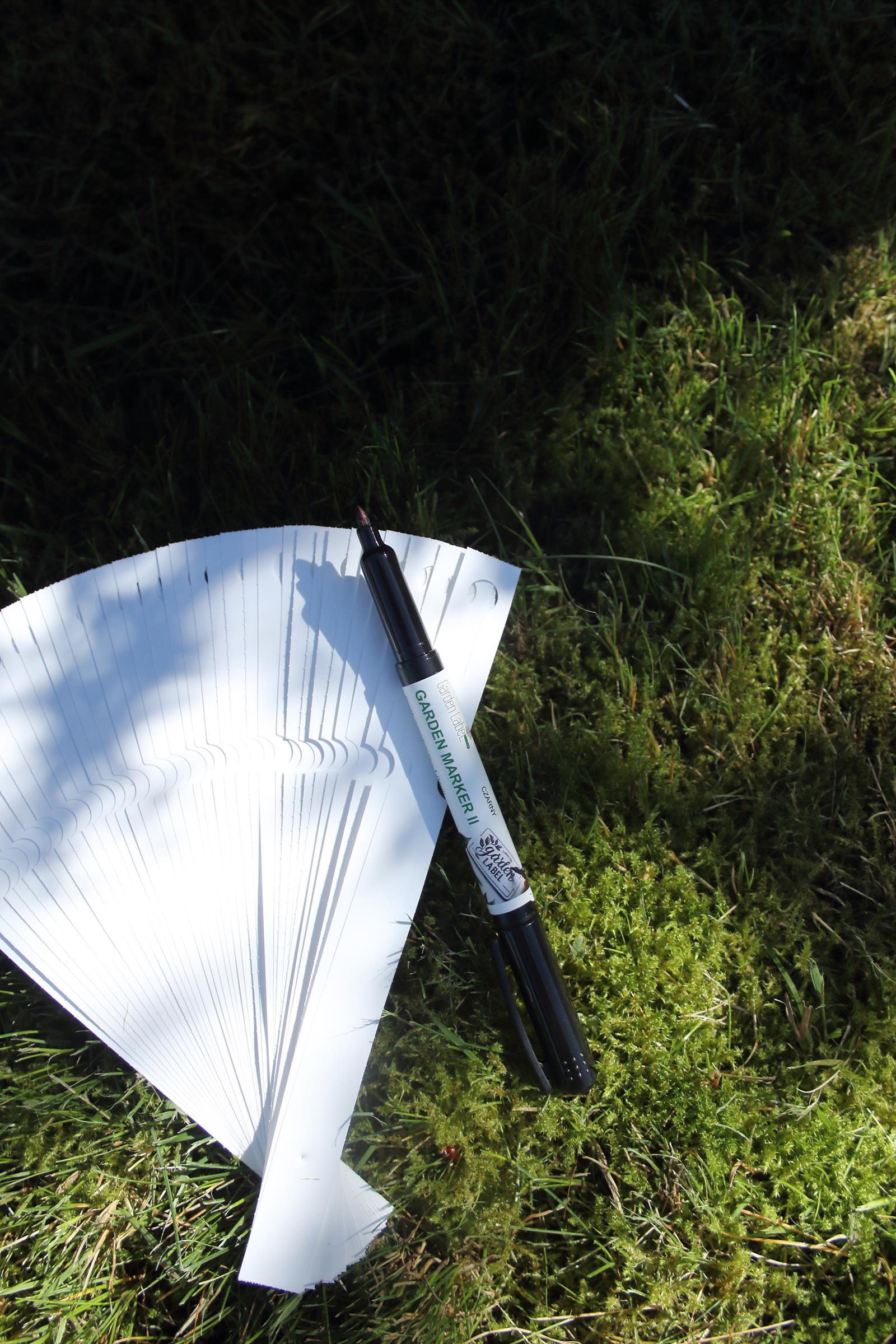 864f08c6fb7074383f11bc0a841ddefd