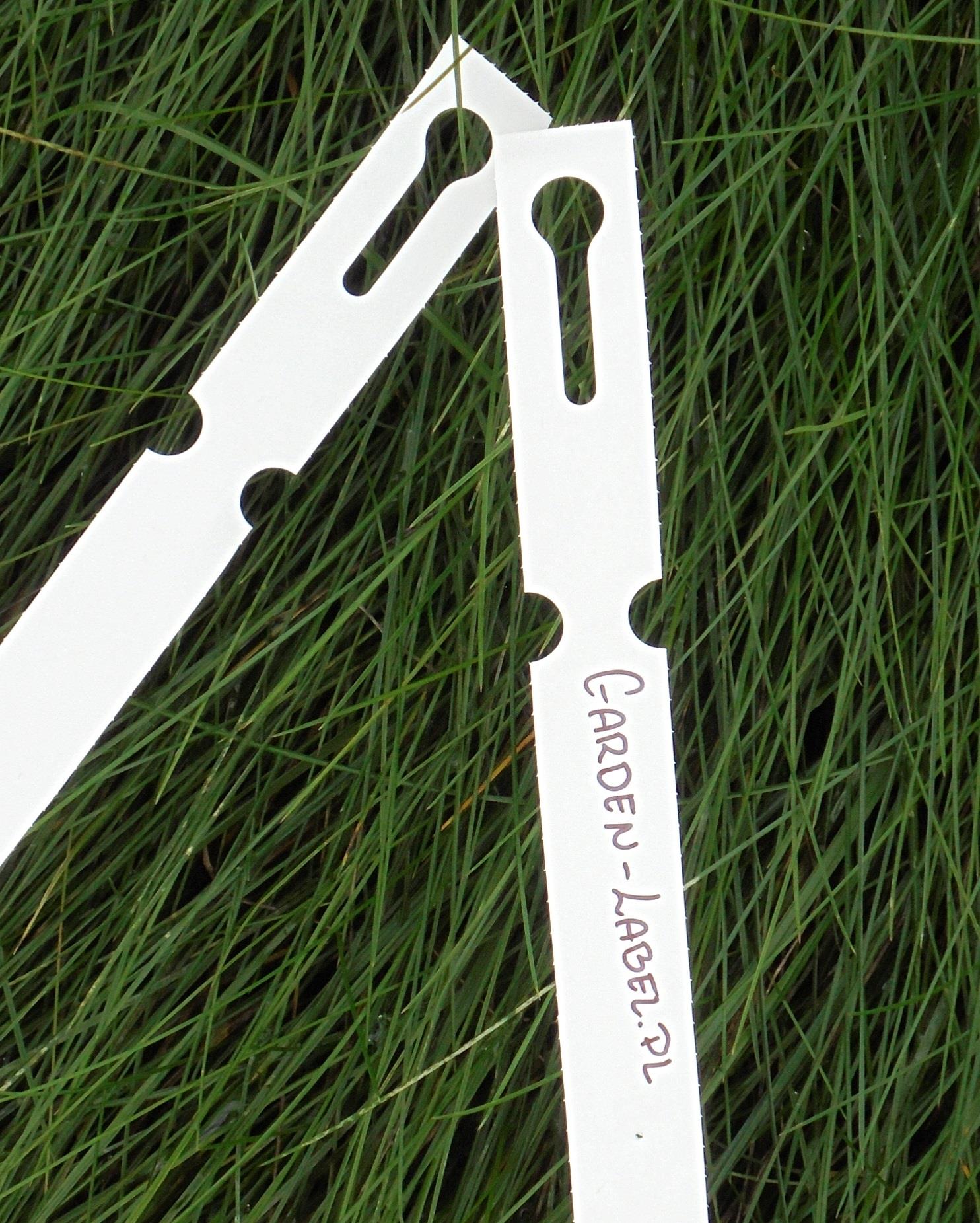 c3427732f55d9a173200f918fcbd5db9