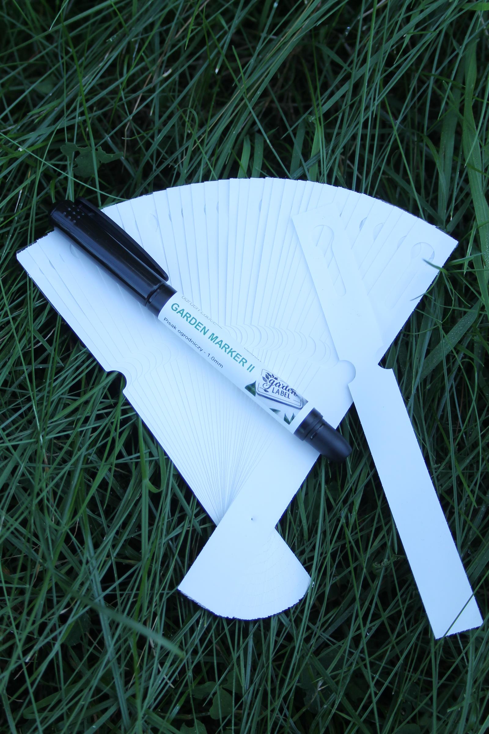 60e9d2692edb8a16f2bf6e1267e4019c