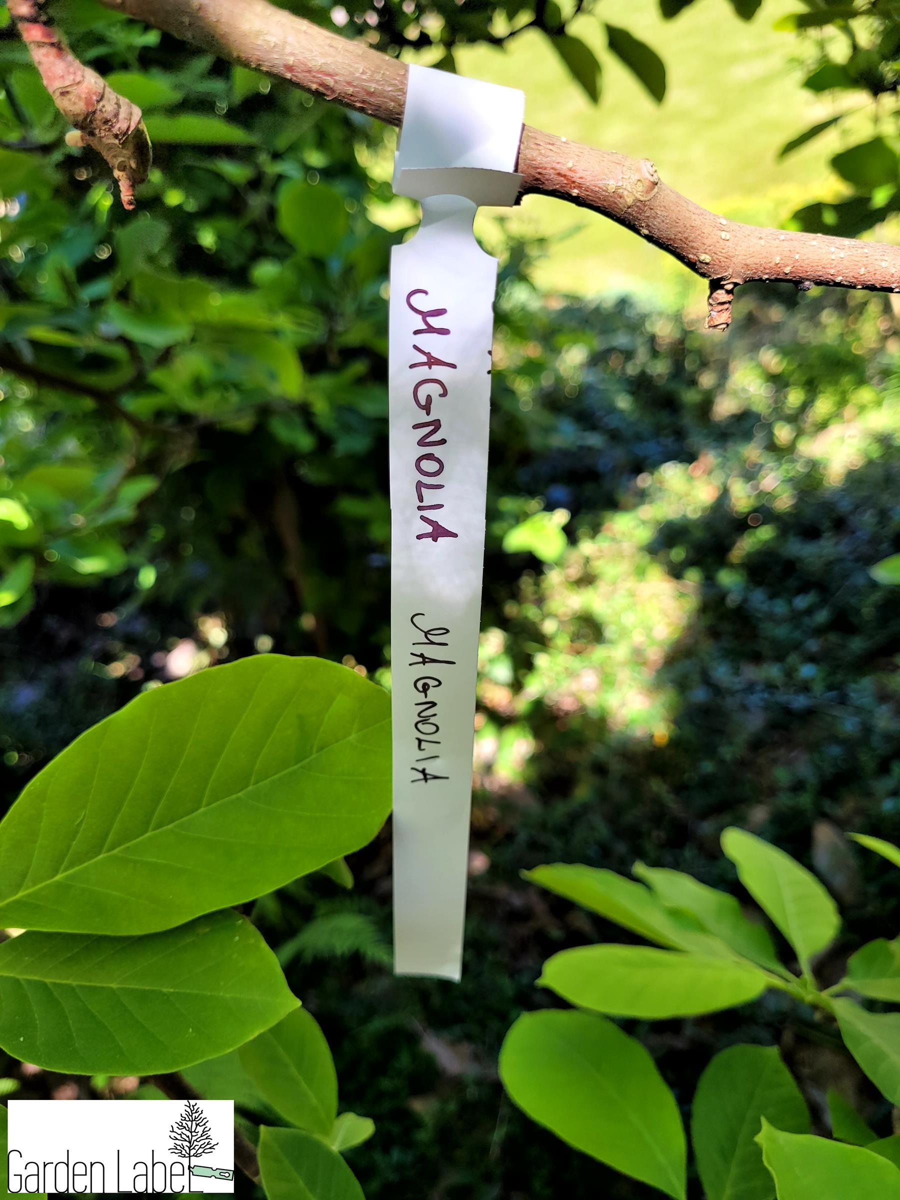 5f456f55f5cda744cbf4ac83d42e7226