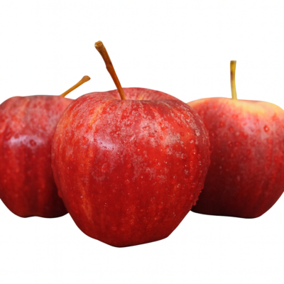 36aa3c23032507f256fc90dcd5a9a239