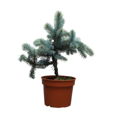 f203eb71447eacbbe49c31b3240e00e7