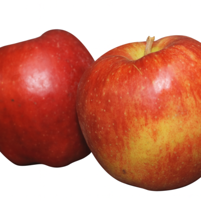 672b59734565fea58ebd0a7ea6b56491