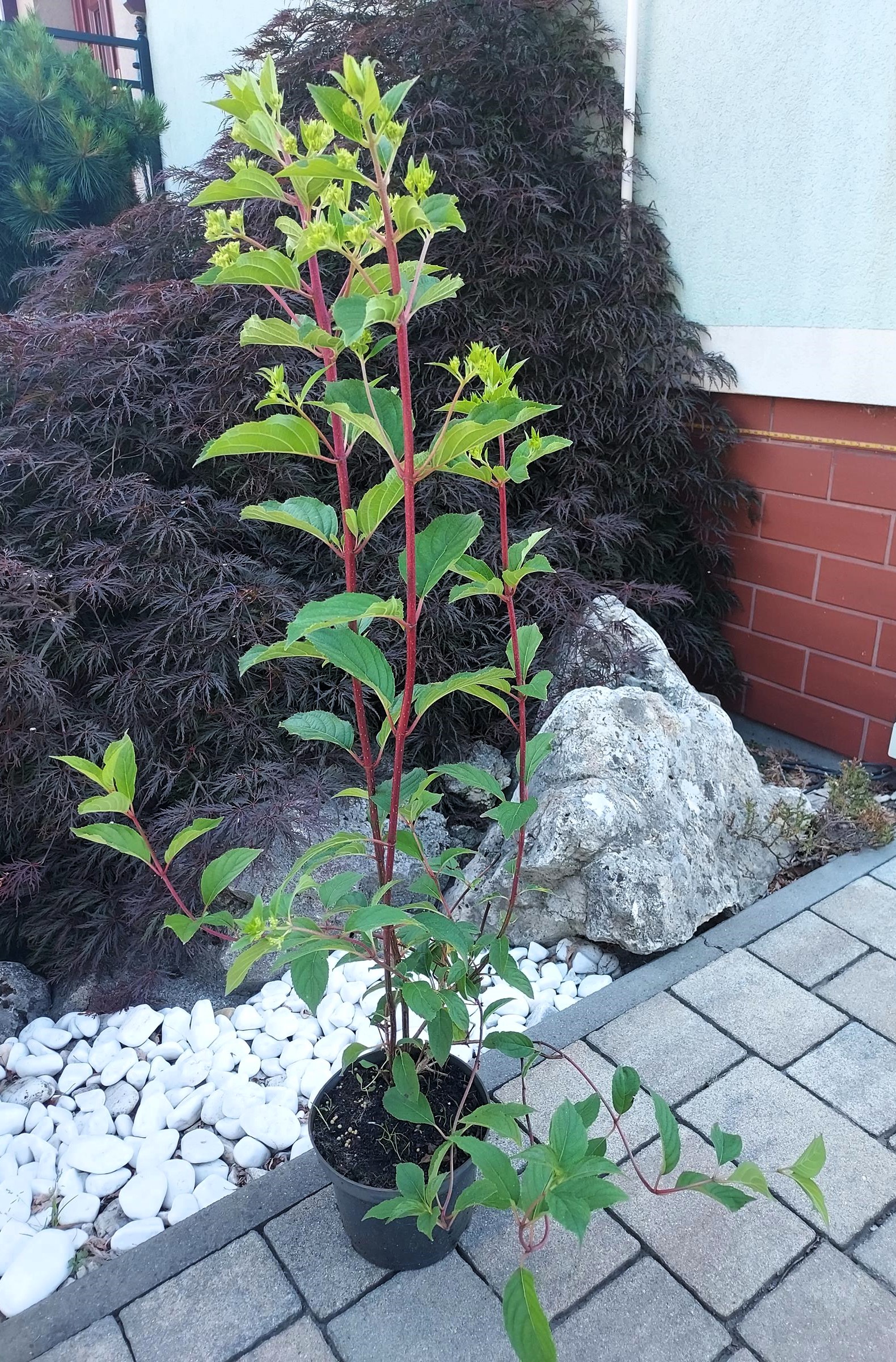 c79cb265b77264da2e5fd8726aabc9f9